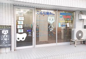 p5_photo